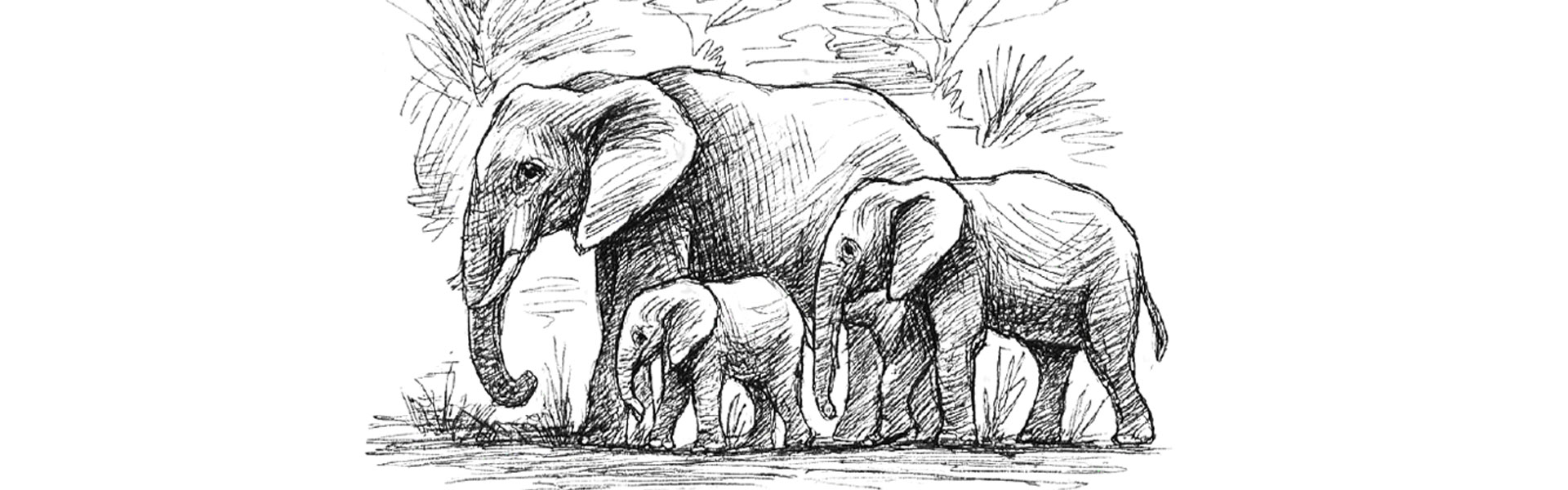 Private Jeep Safari Adventure