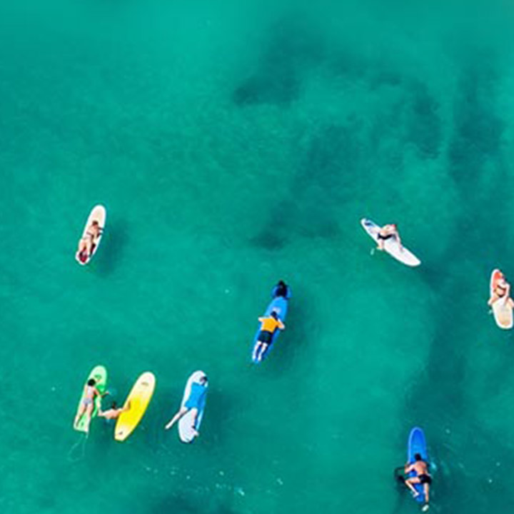 Group of people on surf boards