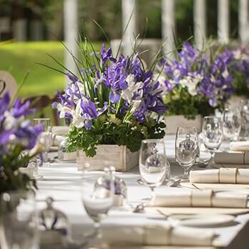 Weddings
