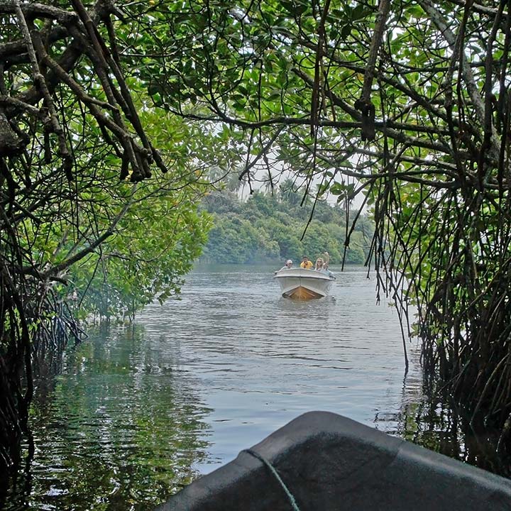 river safari bentota