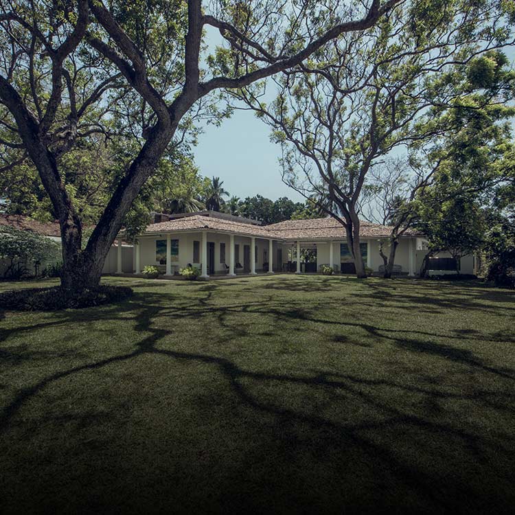 Garden area of a private villa section of Mawella by Taru Villas