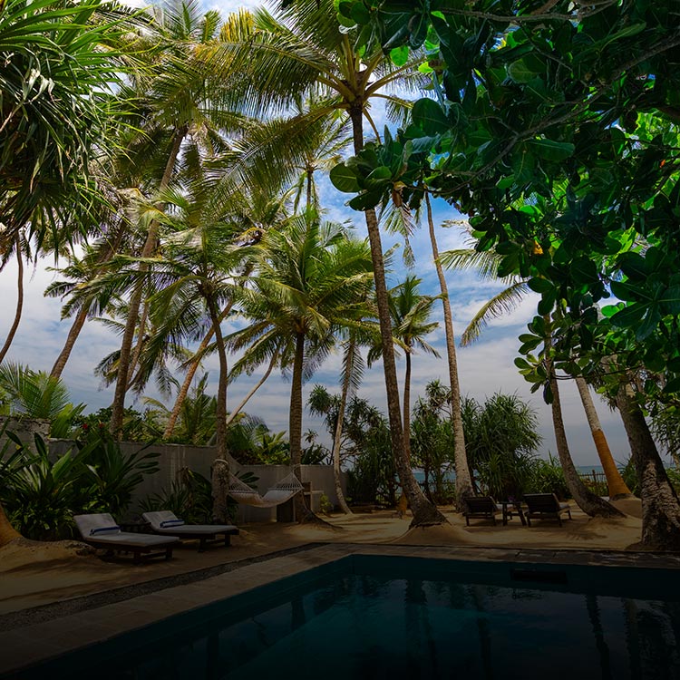 Pool and sundecks at 906, a luxury villa in Hikkaduwa by Taru Villas