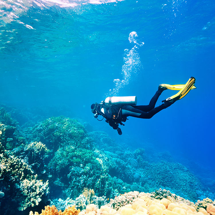 Glass Bottom Boat Rides Things to do in Hikkaduwa Taru Villas