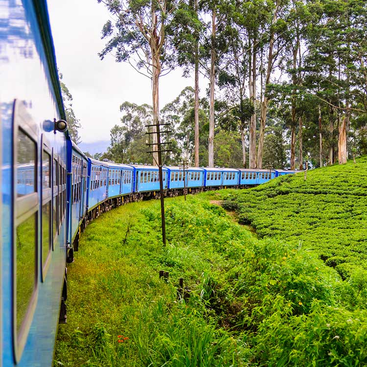 Glass Bottom Boat Rides Things to do in Hikkaduwa Taru Villas